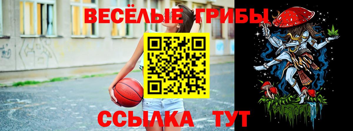 Галлюциногенные грибы GOLDEN TEACHER Советск