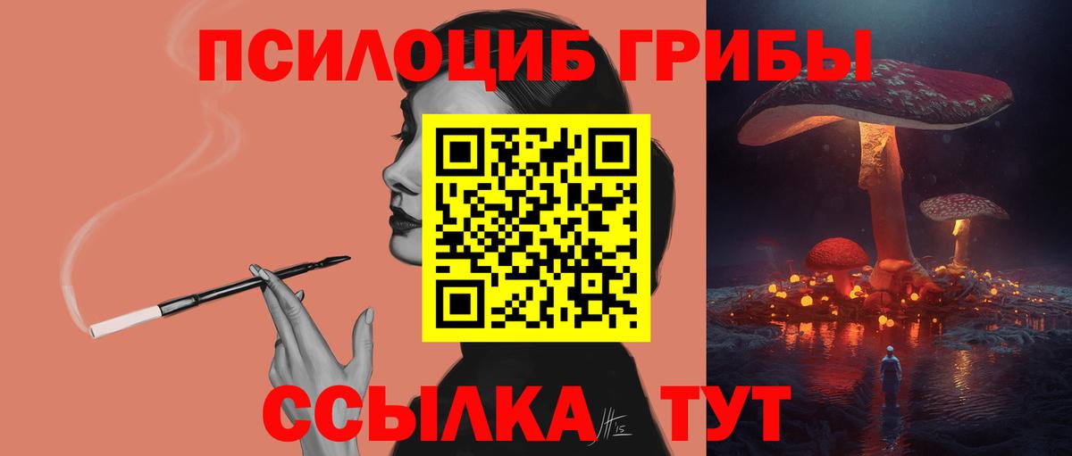 Советск  Псилоцибиновые грибы мухоморы  Вход с VPN 